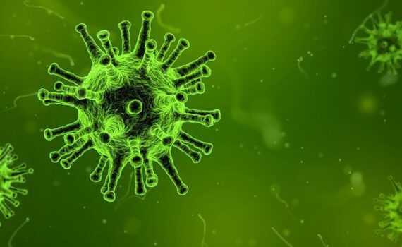 Virus SciTechTrend.com
