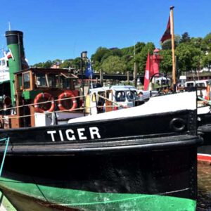 Dampfschlepper Tiger, Museumshafen Oevelgönne, Hamburg